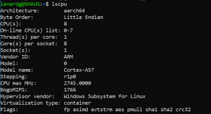 WSL CPU information on the C630